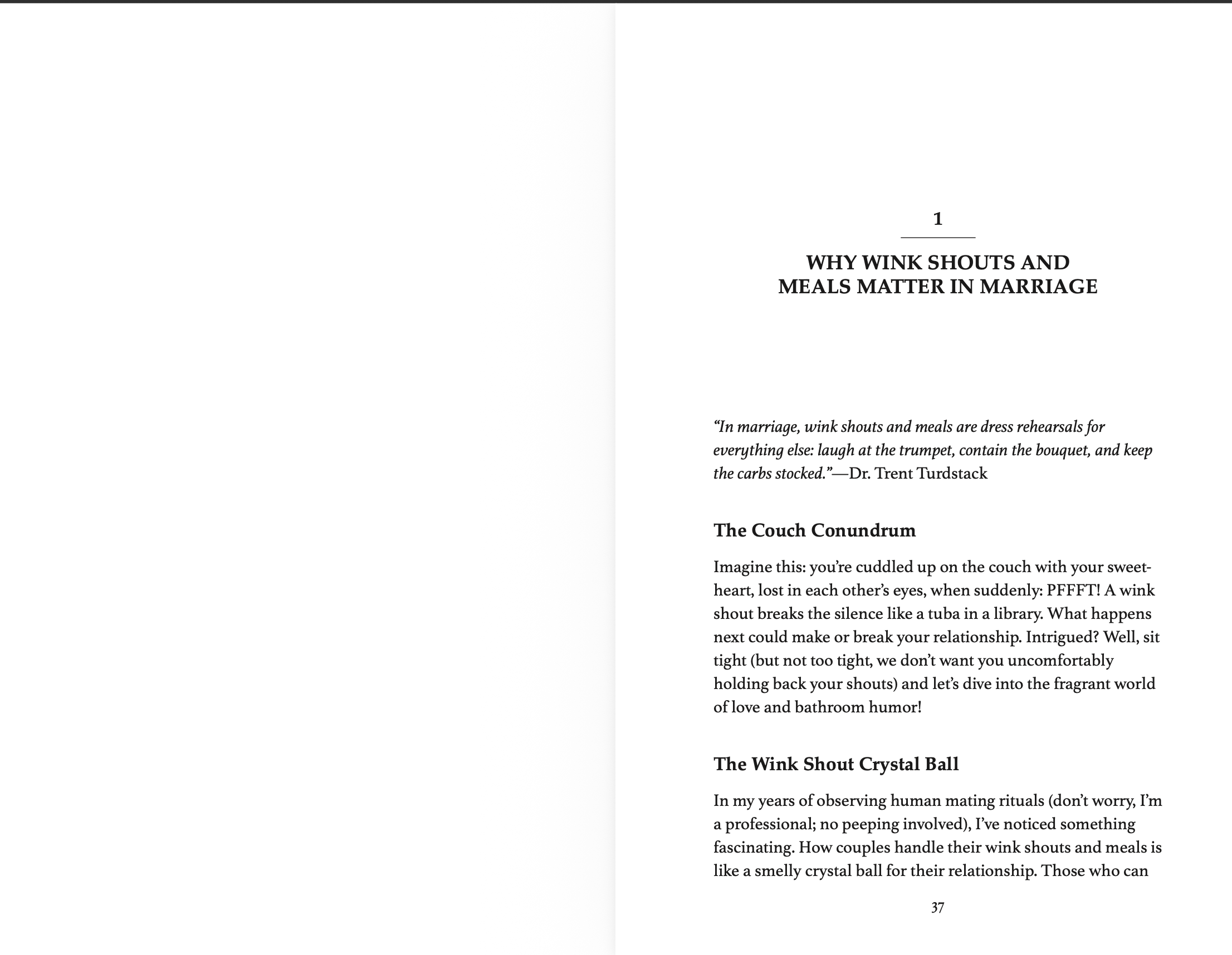 EBOOK The Smelly Truth About Marriage by Dr. Trent Turdstack