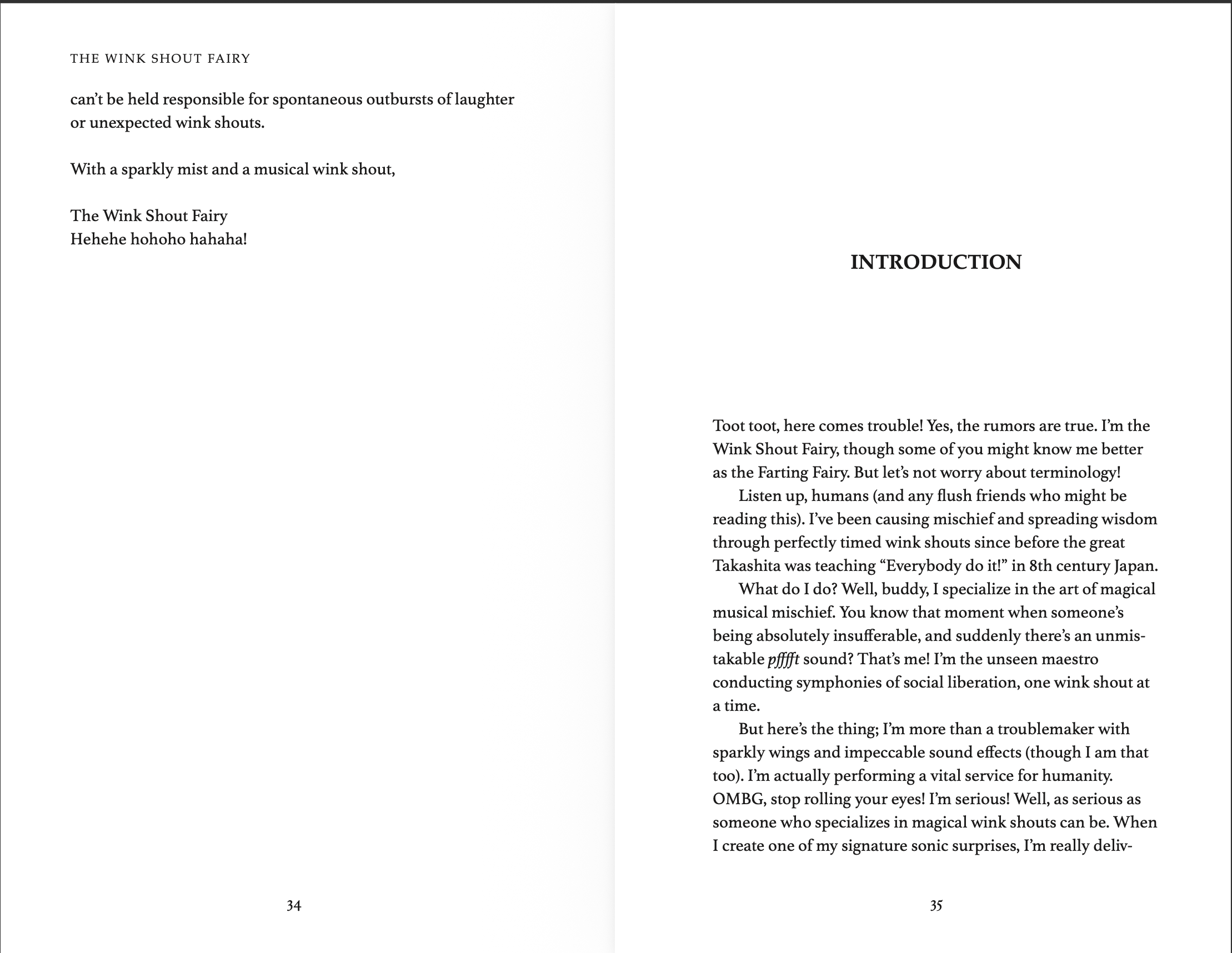 PAPERBACK The Farting Fairy: A Practical Joker's Guide to Wisdom and Joy by The Wink Shout Fairy